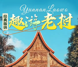 【趣游老撾 · 經典版納】—昆明、普洱、西雙版納、磨丁、瑯勃拉邦四動8日游